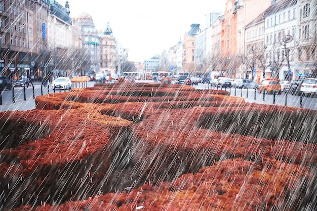 paisaje otoñal en la república checa / lluvia en Praga, techos rojos, vista panorámica de Praga en otoño lluvioso, clima frío