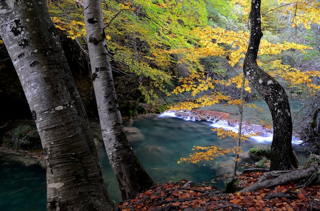 Paisaje otoñal de la Reserva Natural del Río Urederra. Navarra. España