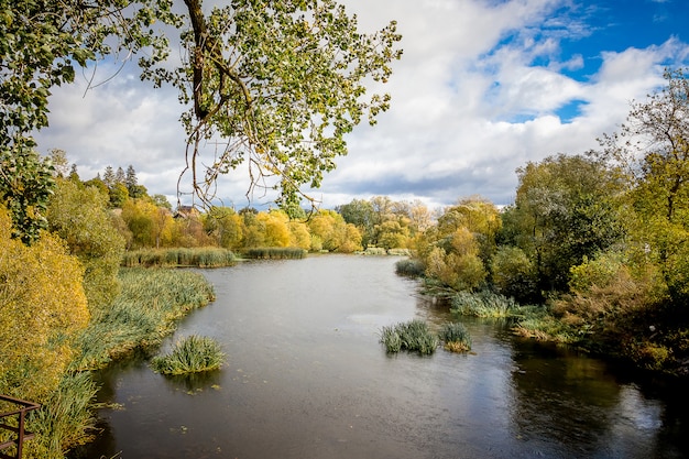 Paisaje otoñal con un río y vegetación a orillas en un día soleado