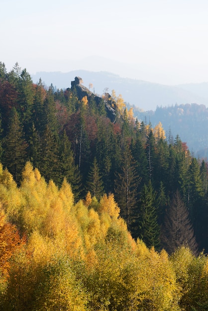 Paisaje otoñal con una roca en el bosque