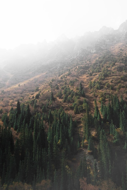 Paisaje otoñal sobre el paso de montaña, Parque Nacional Ala Arch, Kirguistán.