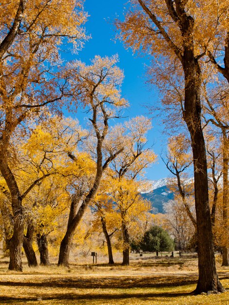 Paisaje otoñal en Zapata Ranch, Colorado.