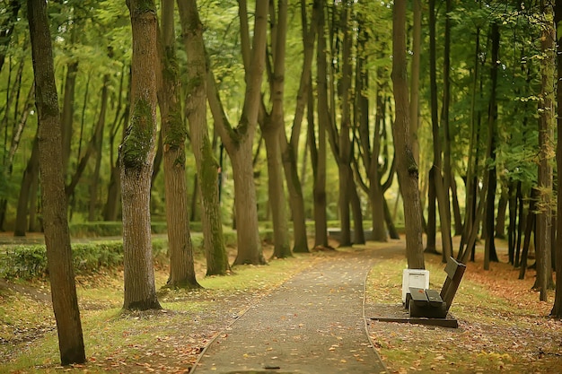 paisaje en otoño banco del parque / hermoso banco de jardín, concepto de descanso, nadie en otoño parque, paisaje de fondo, otoño