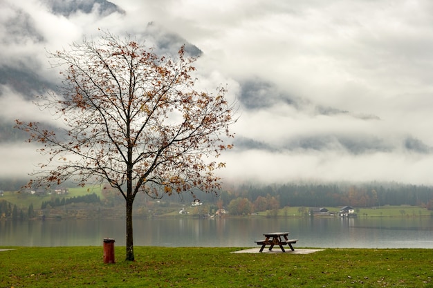 Paisaje de otoño cambiante con árbol desnudo y banco solitario en la orilla del lago de montaña.