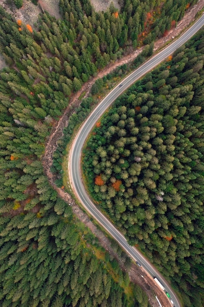 Paisaje de otoño, camino pavimentado en el bosque de montaña. Los árboles amarillos y rojos y las coníferas verdes crean un contraste pintoresco.