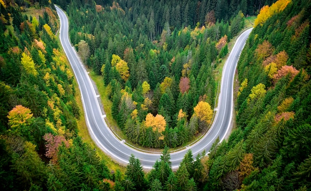 Paisaje de otoño, camino pavimentado en el bosque de montaña. Los árboles amarillos y rojos y las coníferas verdes crean un contraste pintoresco.