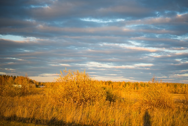 Paisaje de otoño en un campo con hierba amarillenta en la noche, Rusia, Ural, septiembre