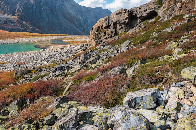 Paisaje de otoño colorido con flora multicolor iluminada por el sol y lago de montaña turquesa vegetación abigarrada y piedras con vista al hermoso lago alpino a la luz del sol Vivos colores de otoño en las altas montañas