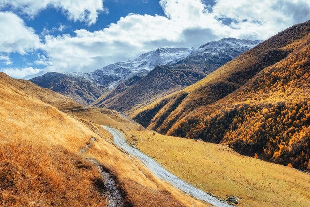 Paisaje de otoño dorado entre las montañas rocosas en Georgia. Camino de piedra. Europa