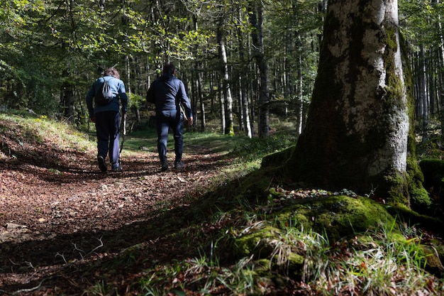 Foto paisaje de otoño de dos excursionistas caminando en el hayedo encantado sierra de urbasa navarra españa