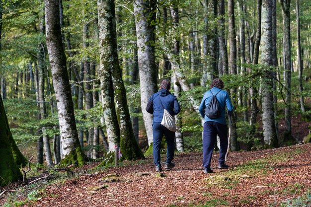 Foto paisaje de otoño de dos excursionistas caminando en el hayedo encantado sierra de urbasa navarra españa