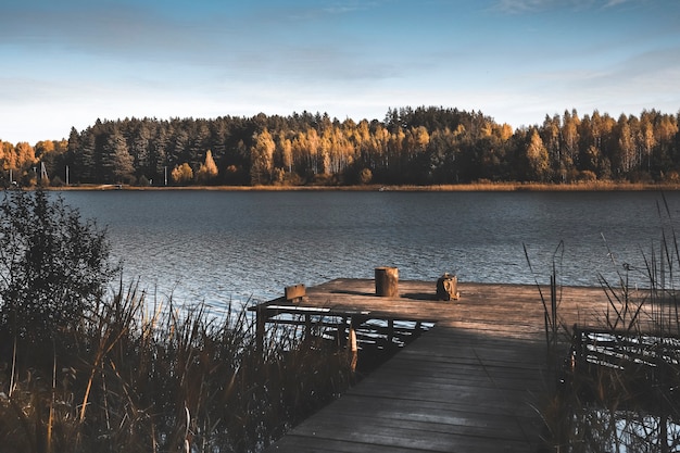 Paisaje de otoño con embarcadero de madera lago amarillo bosque oscuro en el horizonte y el cielo en otoño