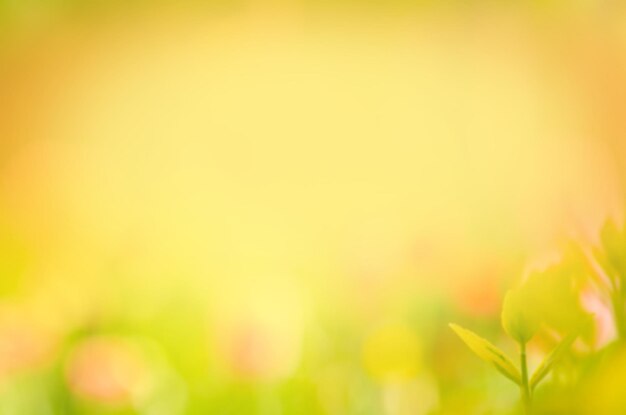 Paisaje de otoño fondo borroso Hojas de otoño hermosa naturaleza bokeh bosque fondo