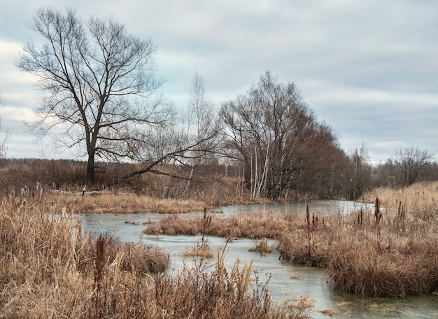 Paisaje de otoño con hierba marchita a lo largo de la orilla del río en un día nublado