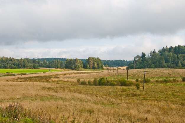 Paisaje de otoño en Karelia con un campo