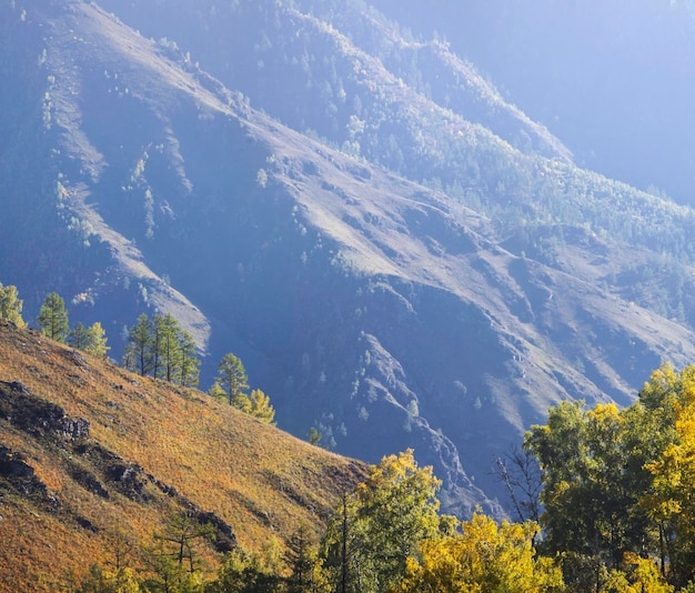 Paisaje de otoño en la ladera de la montaña iluminada por el sol