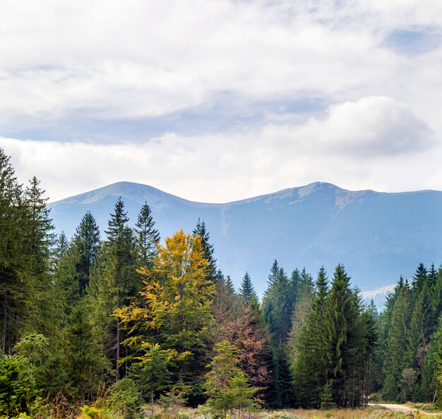 Foto el paisaje de otoño de montaña con bosque colorido. colorido paisaje de otoño en las montañas de los cárpatos. bosque caducifolio en las colinas. vista rural desde sendero.