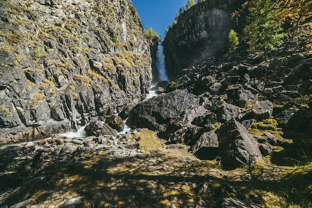 Paisaje de otoño de montaña con gran cascada vertical y alerces amarillos. Gran cascada en desfiladero estrecho y alerces dorados en colores otoñales. Alta caída vertical de agua y árboles de coníferas en otoño