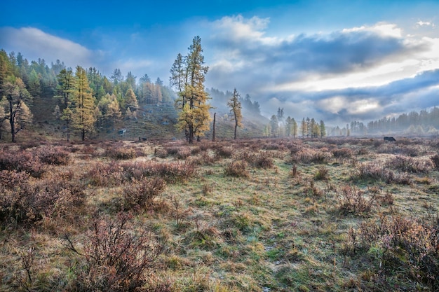 Paisaje de otoño en las montañas de Altai Altai del sur de Siberia Rusia