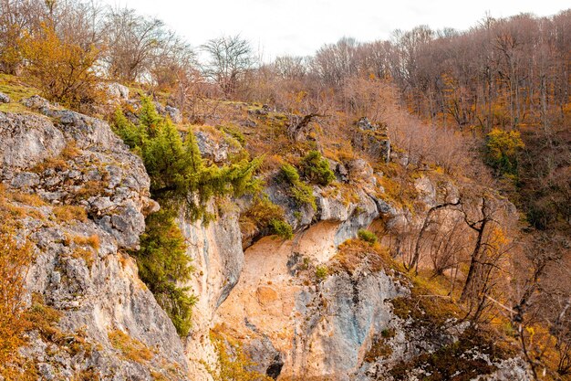 Paisaje de otoño Montañas rocosas pintorescas en Adygea cubiertas de vegetación y árboles