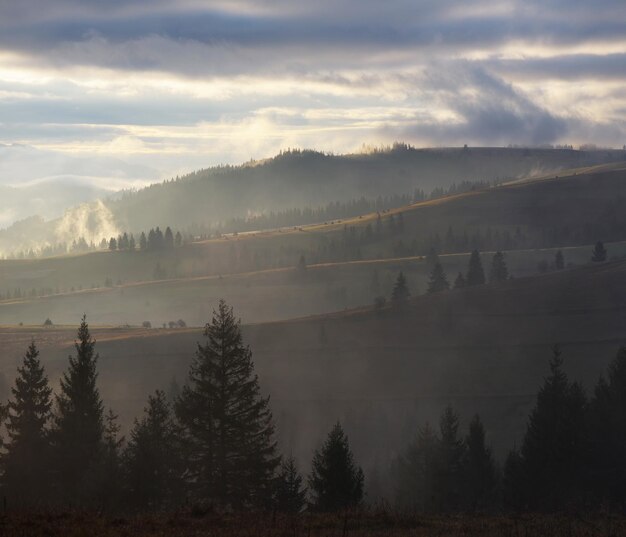 Paisaje de otoño Niebla matutina en las montañas Belleza en la naturaleza