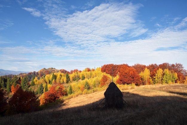 Paisaje de otoño con un pajar en las montañas