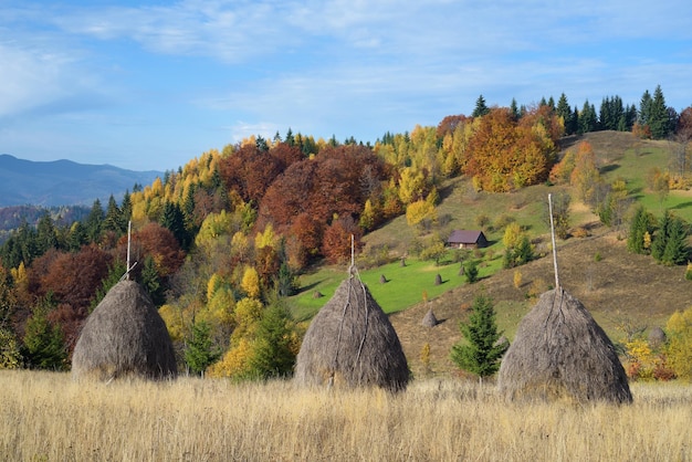 Paisaje de otoño con un pajar en las montañas