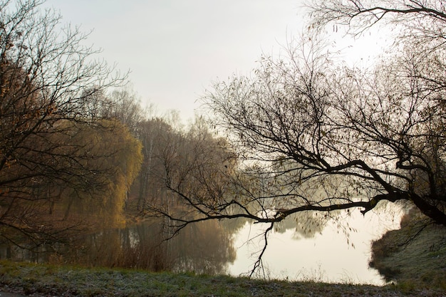 Paisaje de otoño en un parque de la ciudad, otoño en Moldavia.