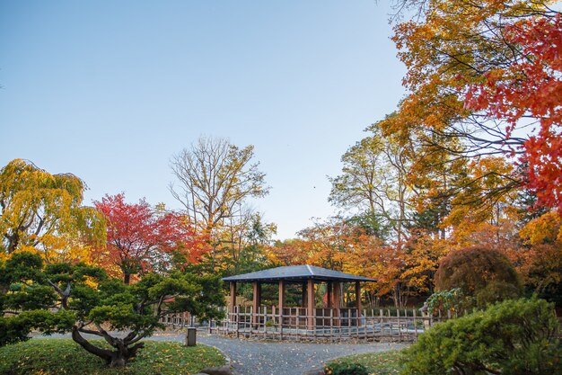 Paisaje del otoño en el parque de Nakajima, ciudad de Sapporo, Japón.