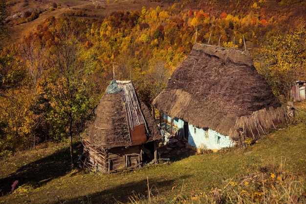 Paisaje de otoño con una pequeña casa de madera con techo de paja