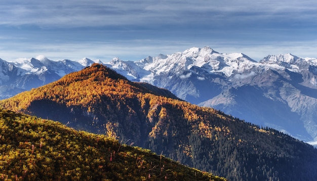 Paisaje de otoño y picos nevados en el sol.