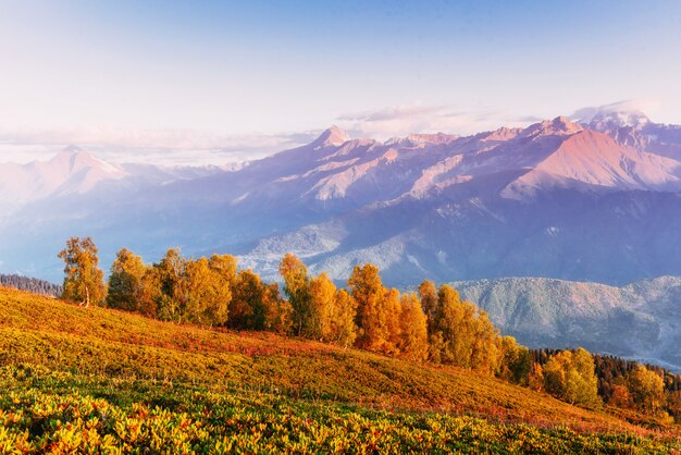 Paisaje de otoño y picos nevados. Vista del mou