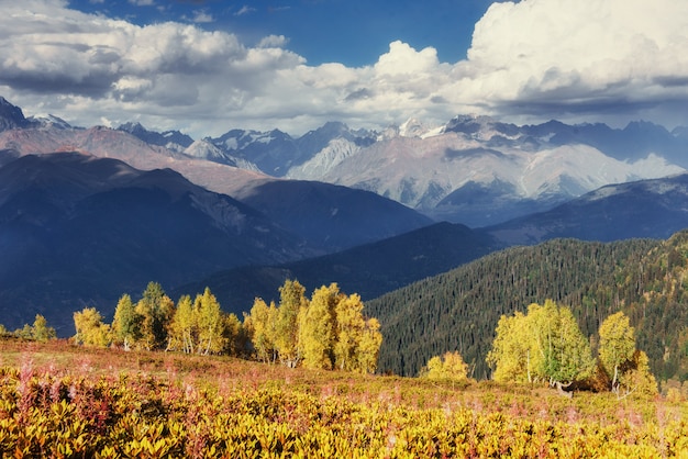 Paisaje de otoño y picos nevados. Vista del mou