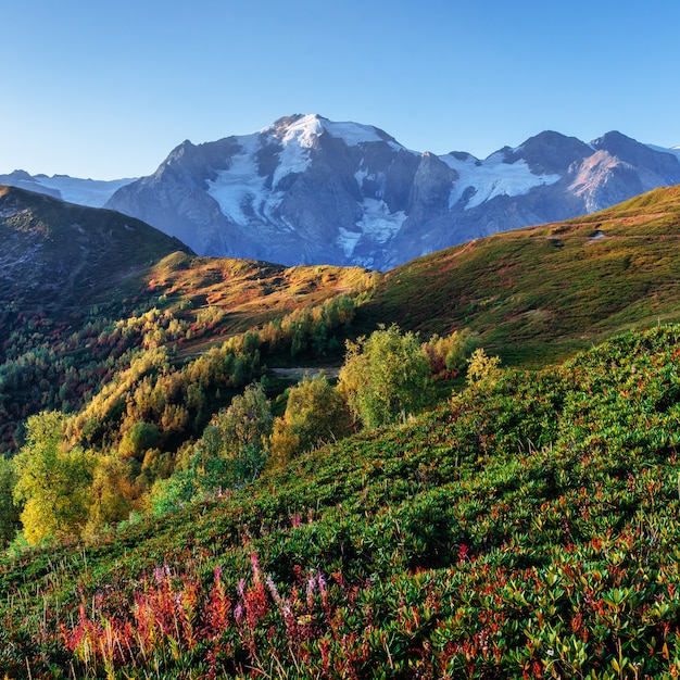 Paisaje de otoño y picos nevados. Vista del mou