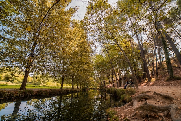 Paisaje de otoño en una pradera con grandes árboles