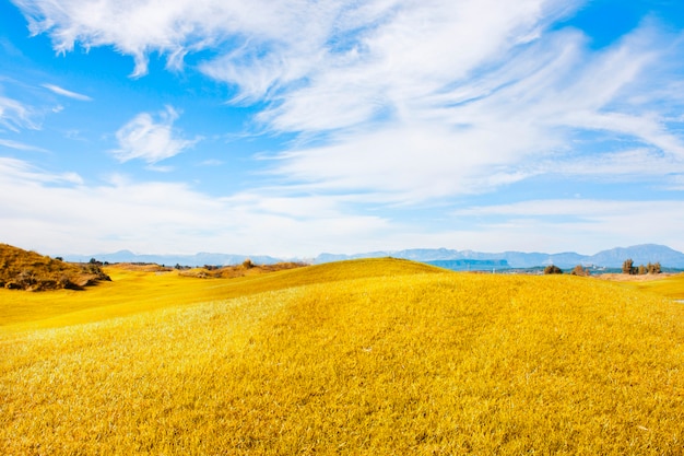 Paisaje de otoño Prado de campo amarillo y cielo azul