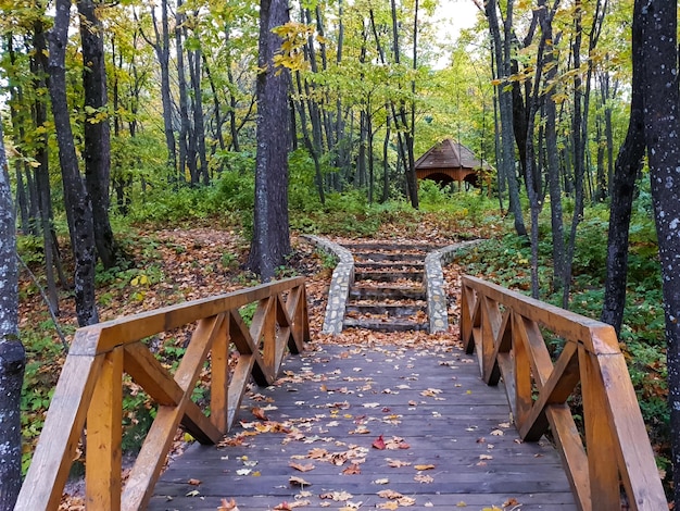 Paisaje de otoño con un puente de madera y árboles
