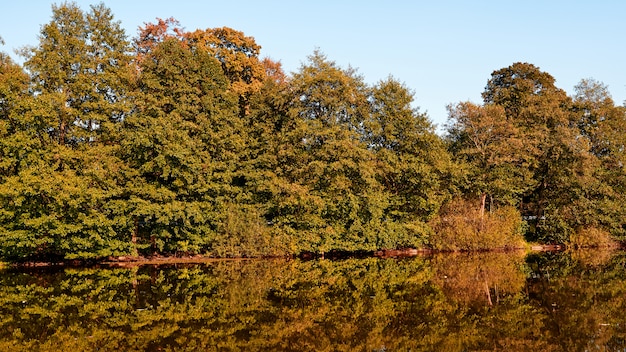 Paisaje de otoño Árboles de color naranja. Lago con reflejo.