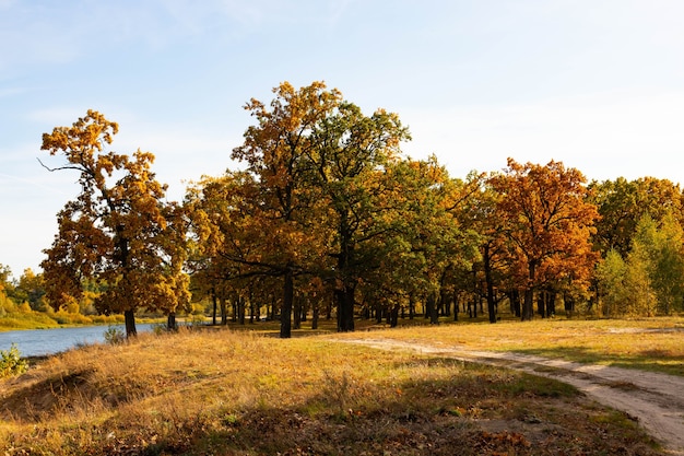 Paisaje de otoño con robledal en septiembre