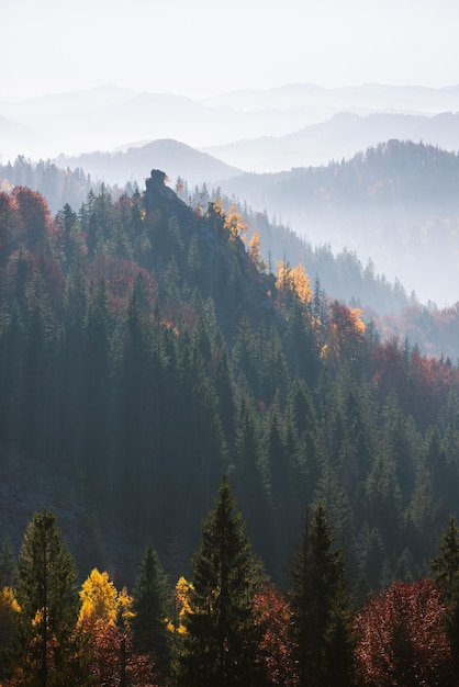 Paisaje de otoño con una roca en el bosque