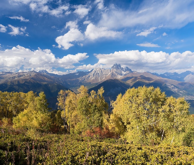 Paisaje de otoño con vista a la cima de la montaña