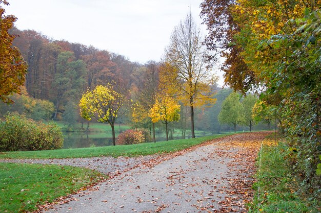 El paisaje de otoño