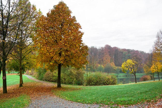 El paisaje de otoño