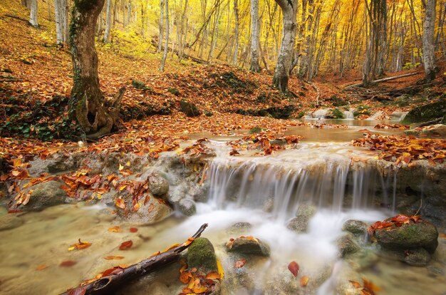 Paisaje de otoño