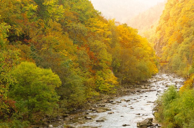 Paisaje de otoño