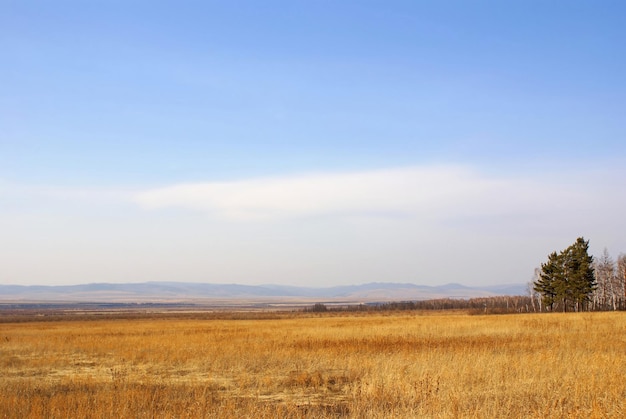 paisaje de otoño