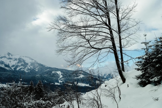 Paisaje de paisaje nevado de invierno en Apls en el pueblo de Bad Goisern cerca de Hallstatt en Alta Austria. Montañas alpinas, bosques y árboles con vistas a la nieve. Punto de referencia austriaco.