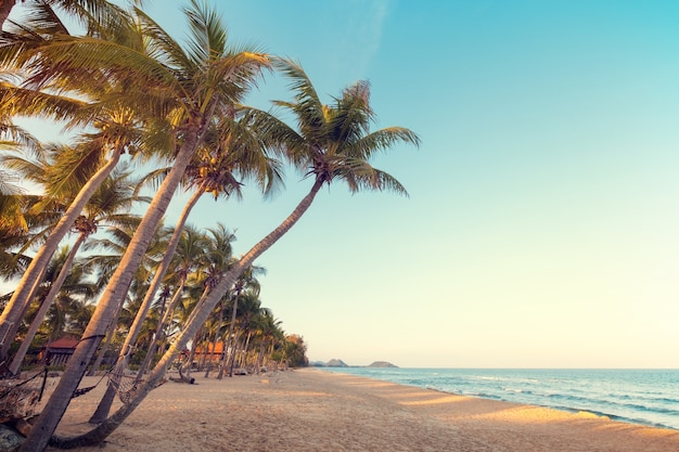 Paisaje de palmera de coco en playa tropical al atardecer en verano. Concepto de fondo de verano. tono de color vintage