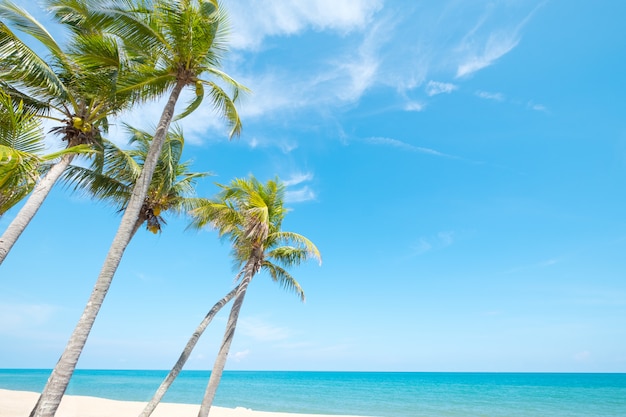 Paisaje de la palmera de coco en la playa tropical en verano.