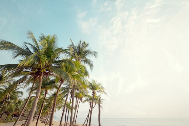 Paisaje de palmera de coco en la playa tropical en verano